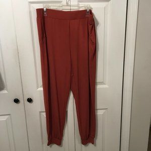 Lisa Rinna Women's Pull-on Knit Ankle Pants Sz Lg